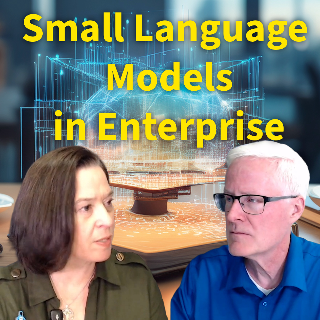 Small Language Models: The Public Gen AI Killer?