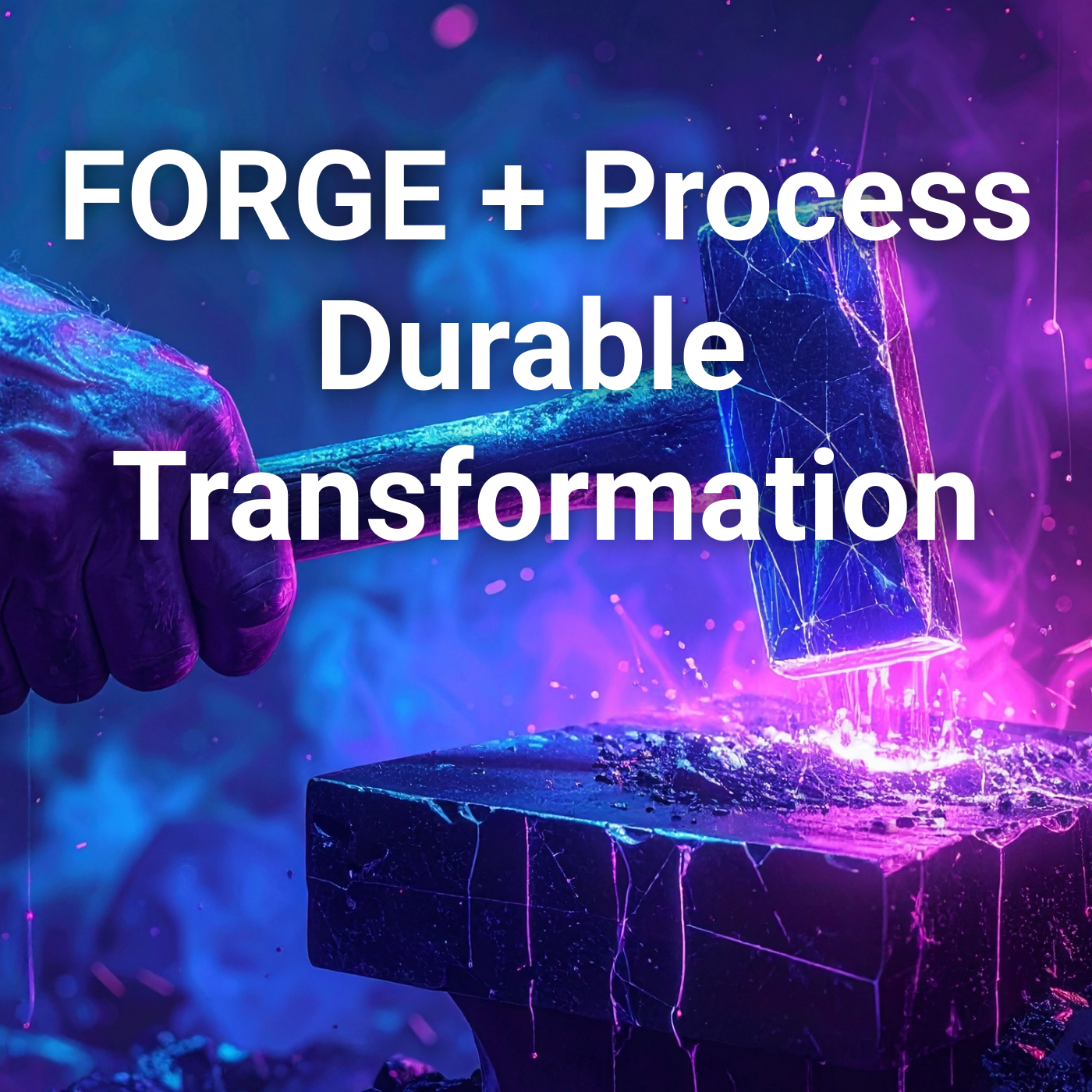 プロセス領域におけるFORGEの実践
